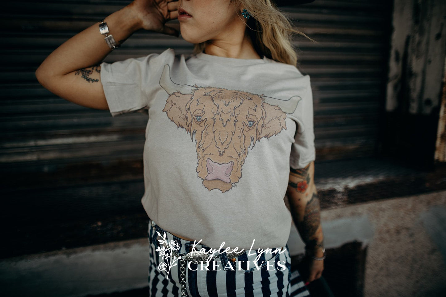 Highland Cow