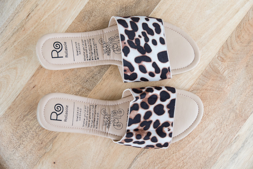 The Catwalk Rollasole
