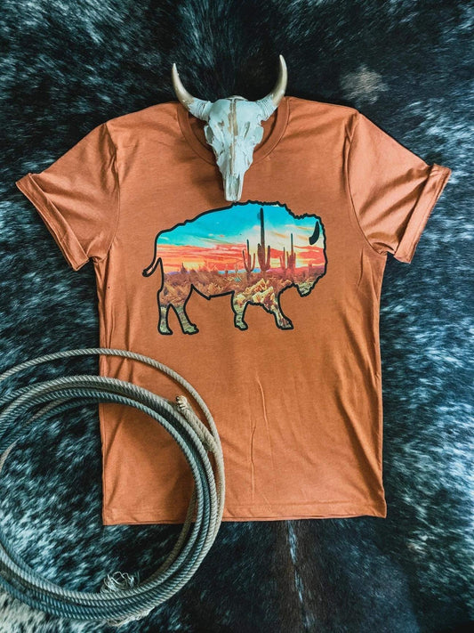 Buffalo Bison