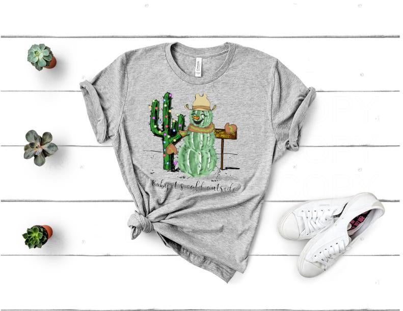 CHRISTMAS CACTUS & SNOWMAN