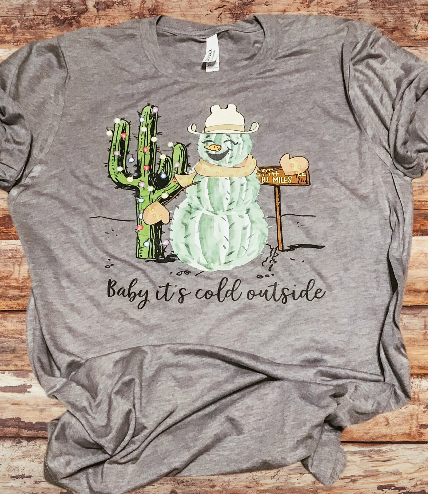 CHRISTMAS CACTUS & SNOWMAN