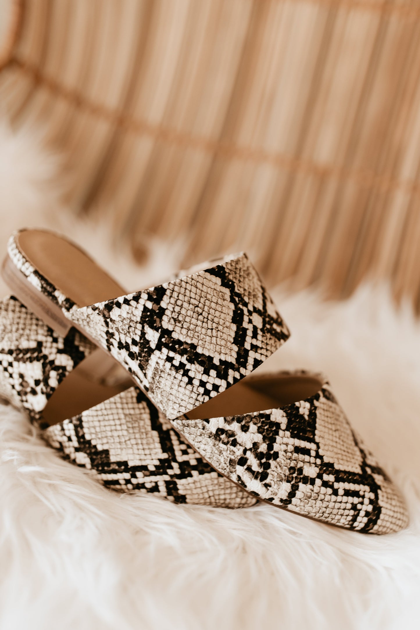 Matisse Shay Mule in White Snake