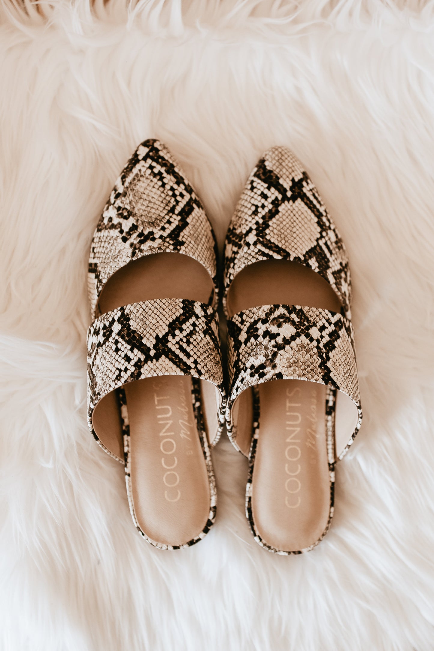 Matisse Shay Mule in White Snake