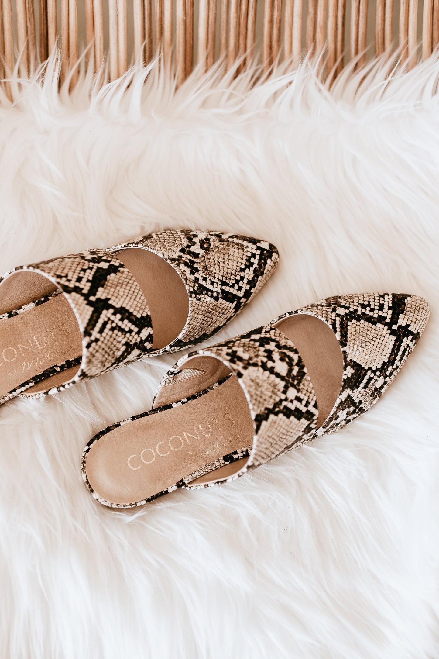 Matisse Shay Mule in White Snake